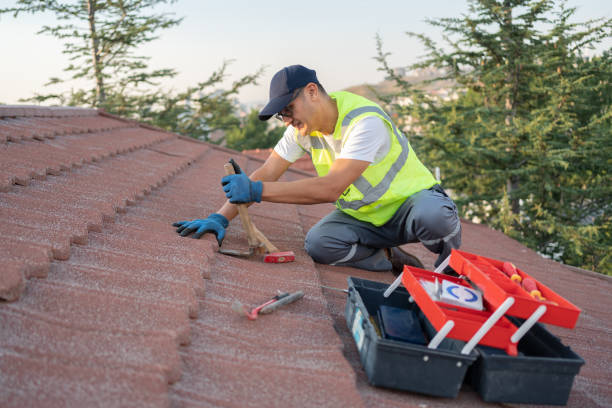 Best Storm Damage Roof Repair  in Eagle Grove, IA